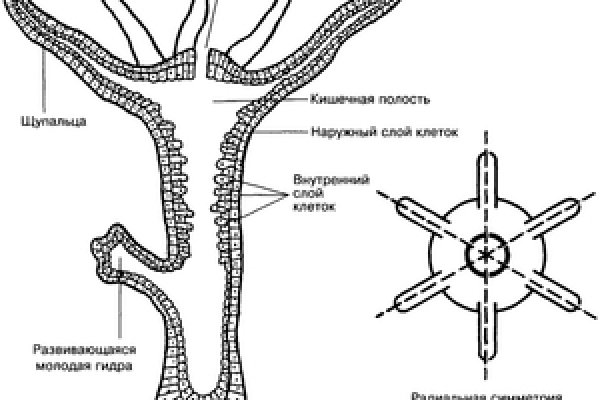 Кракен сайт официальный зеркало